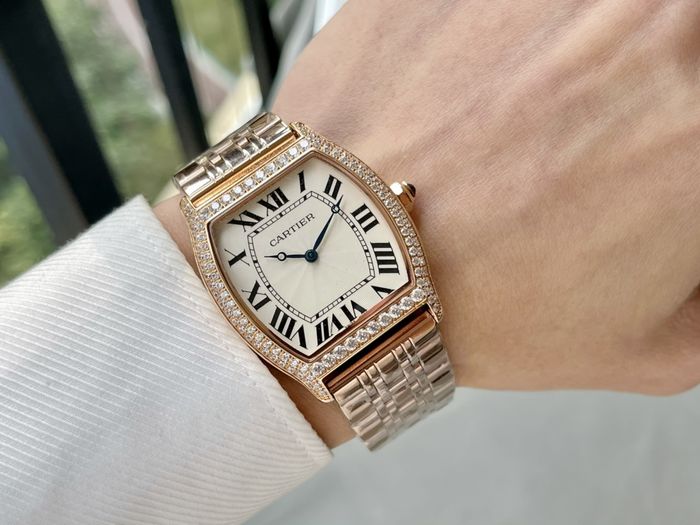 Cartier Watch CTW00462-2