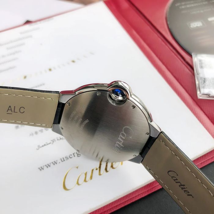 Cartier Watch CTW00471-1