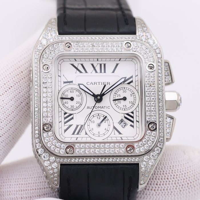 Cartier Watch CTW00480-1