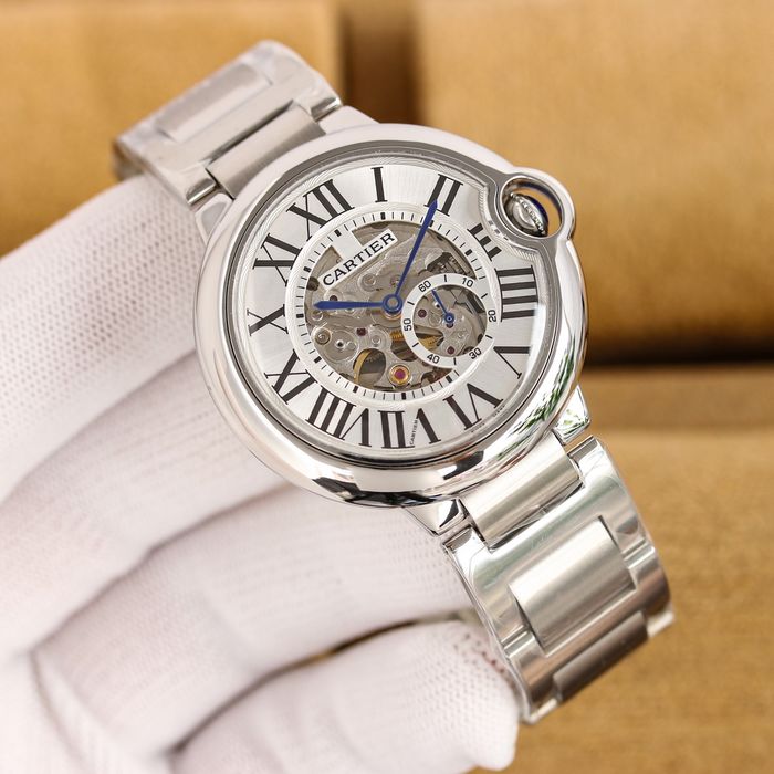 Cartier Watch CTW00501-1