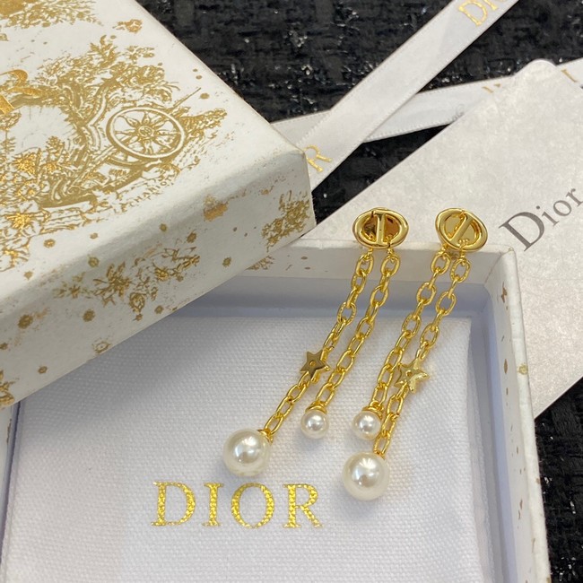 Dior Earrings CE11791