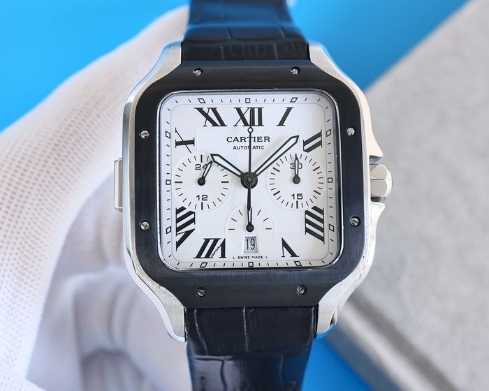 Cartier Watch CTW00516-1