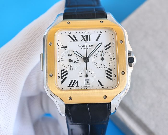 Cartier Watch CTW00517-1