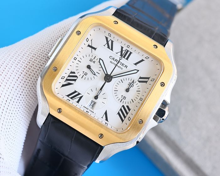 Cartier Watch CTW00517-1