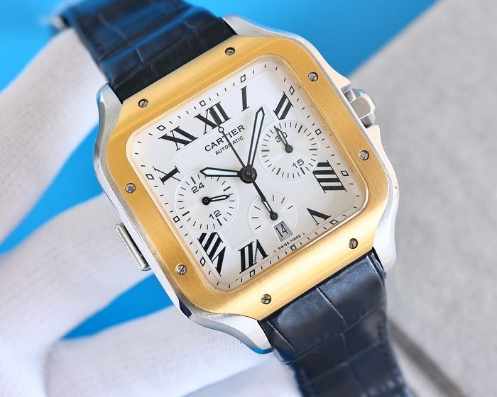 Cartier Watch CTW00517-1