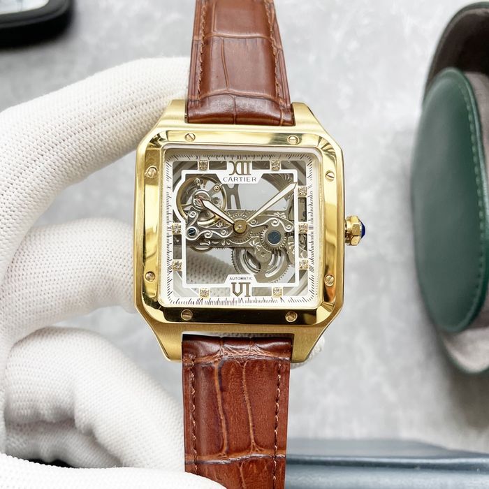 Cartier Watch CTW00521-1