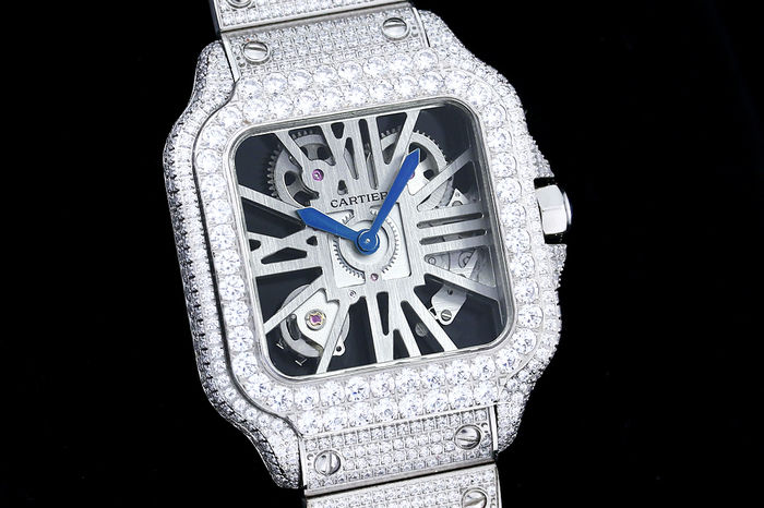 Cartier Watch CTW00661