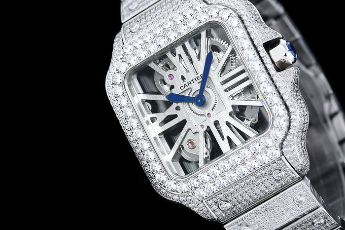 Cartier Watch CTW00663