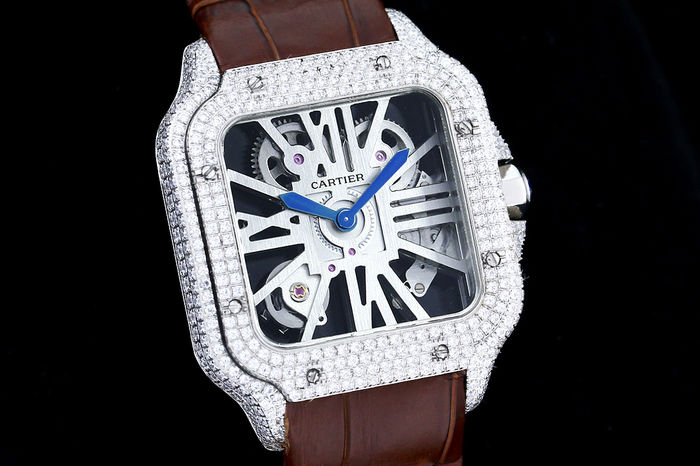 Cartier Watch CTW00665