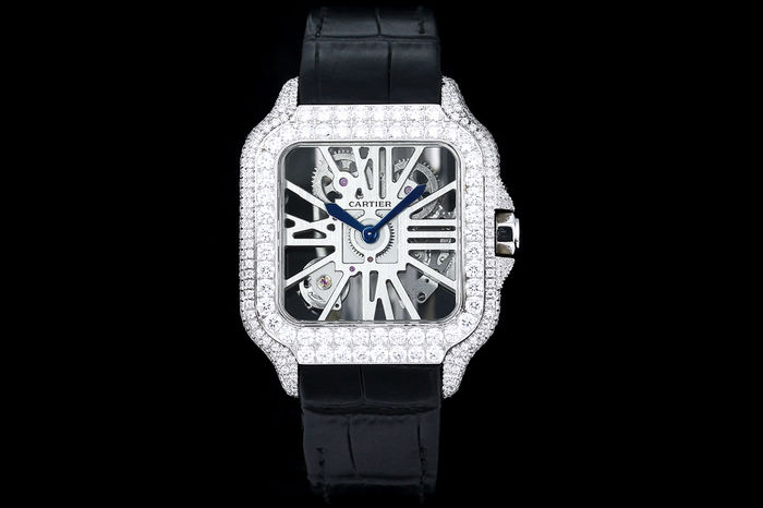 Cartier Watch CTW00668