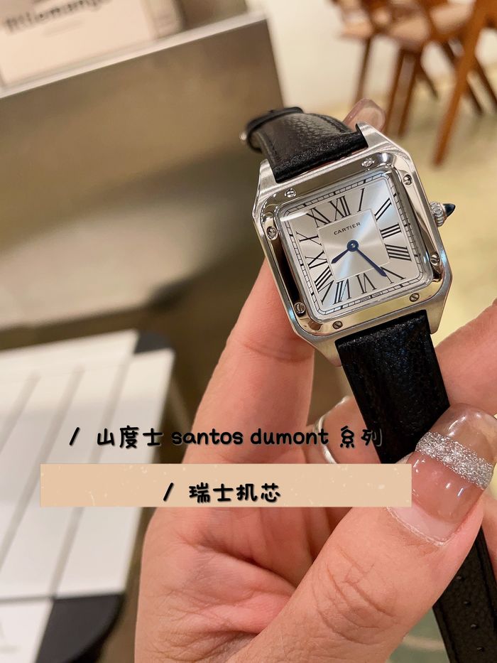 Cartier Watch CTW00670