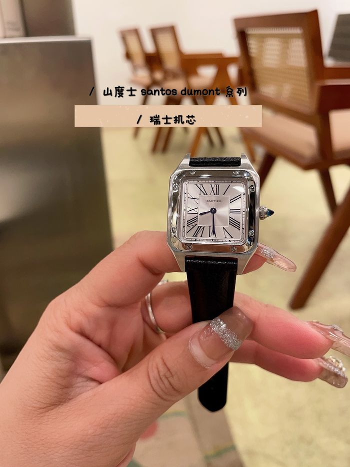 Cartier Watch CTW00670