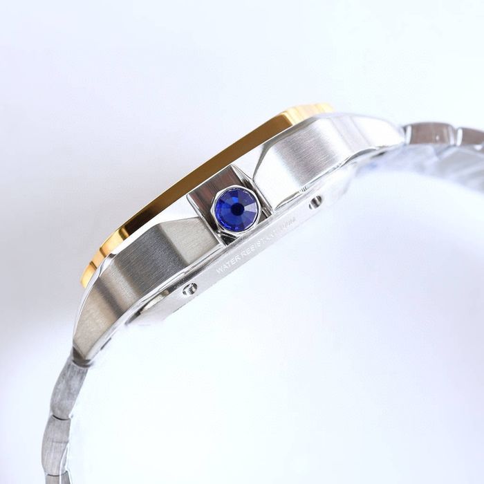 Cartier Watch CTW00672