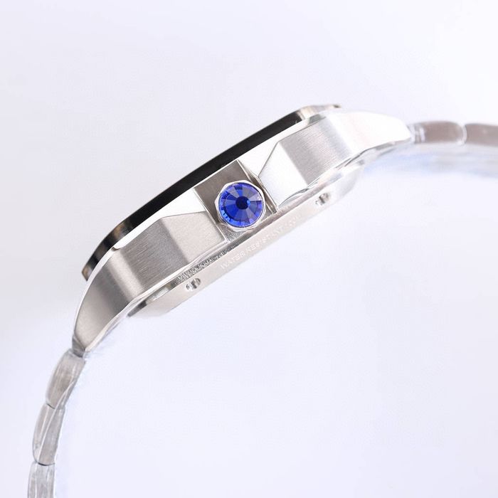 Cartier Watch CTW00674