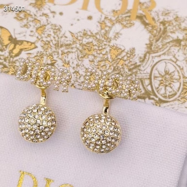 Dior Earrings CE11843