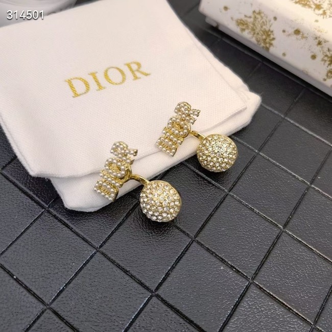 Dior Earrings CE11843