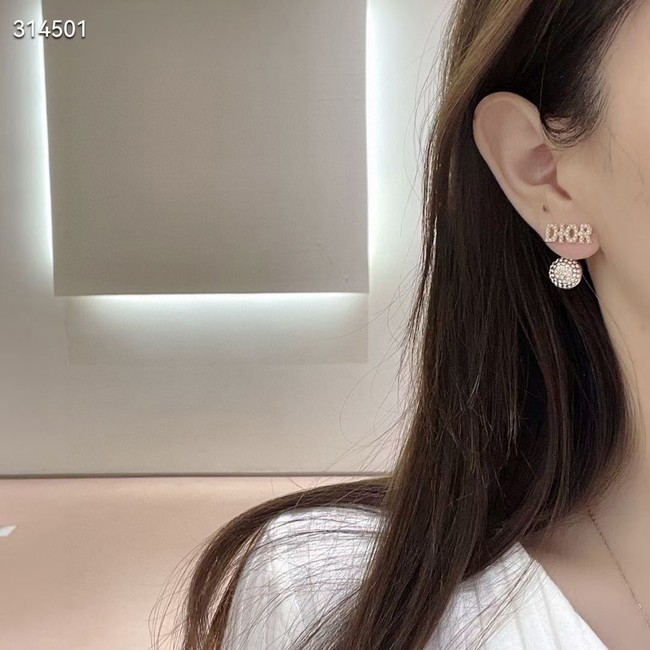 Dior Earrings CE11843