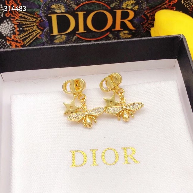 Dior Earrings CE11855