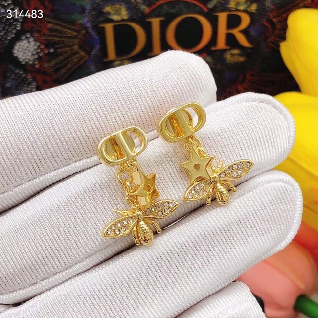 Dior Earrings CE11855