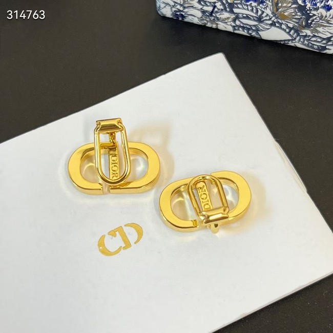 Dior Earrings CE11862