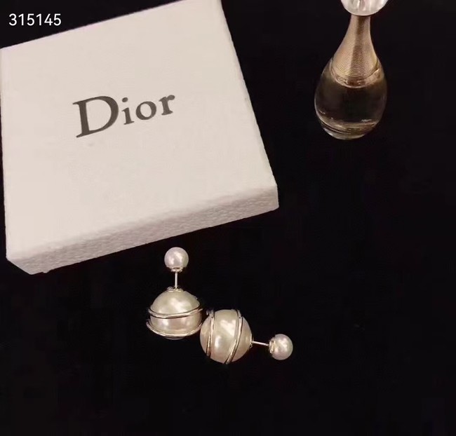 Dior Earrings CE11880