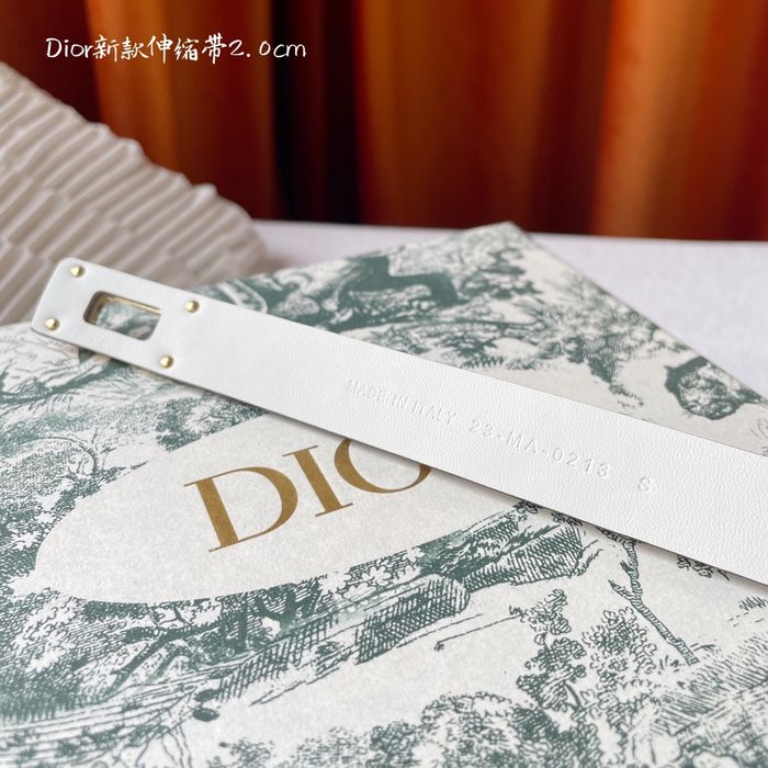 Dior Belt 20MM DIB00066