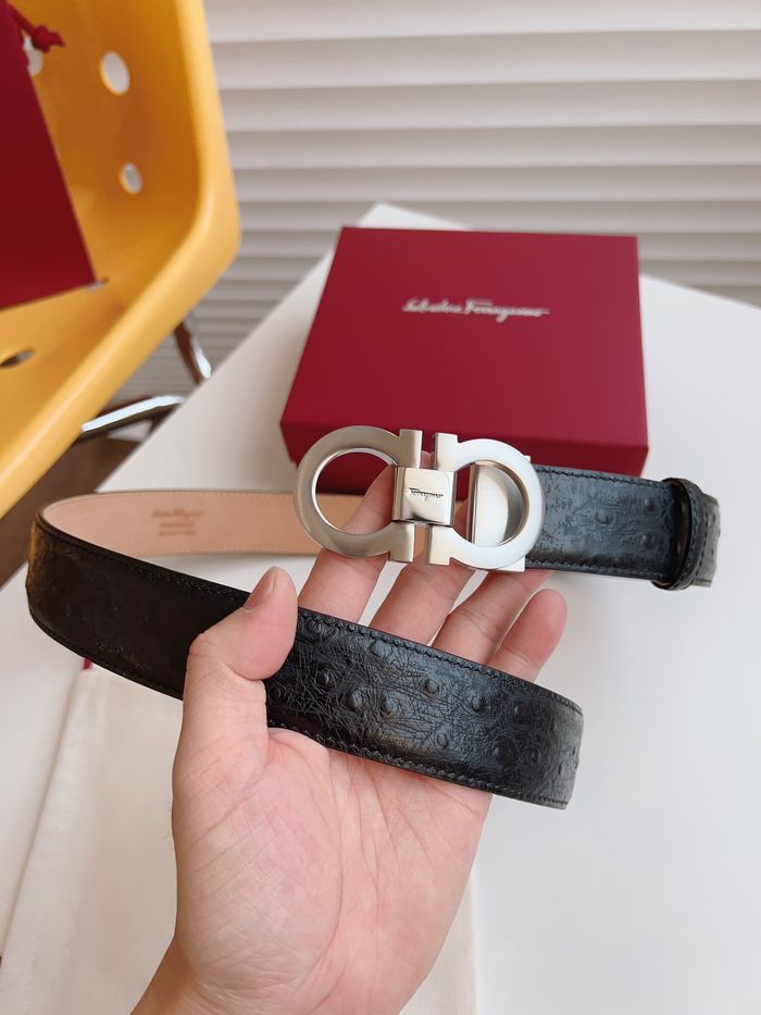 Ferragamo Belt 35MM SFB00110