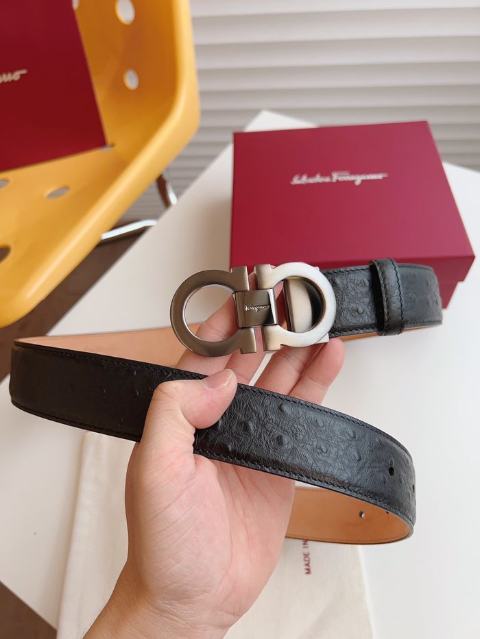 Ferragamo Belt 35MM SFB00112