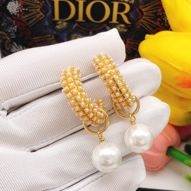 Dior Earrings CE11967