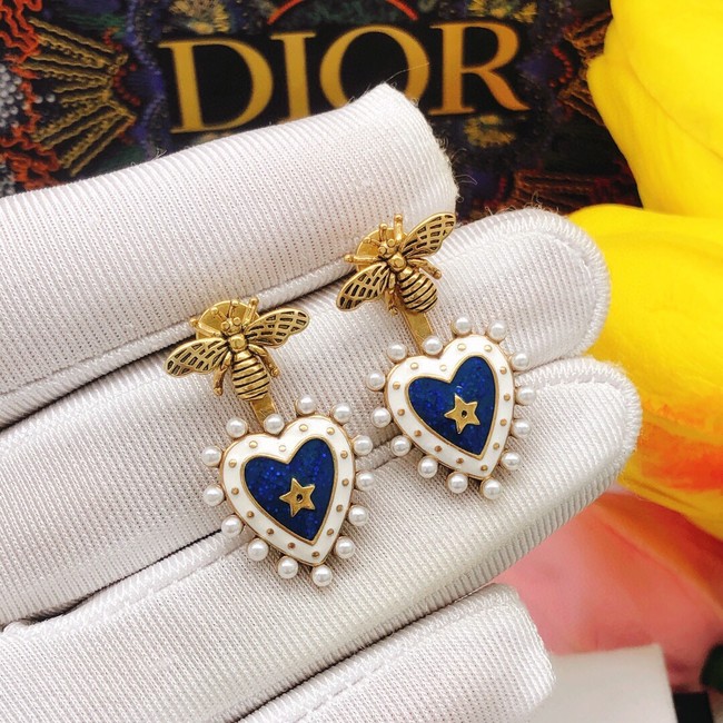 Dior Earrings CE11968