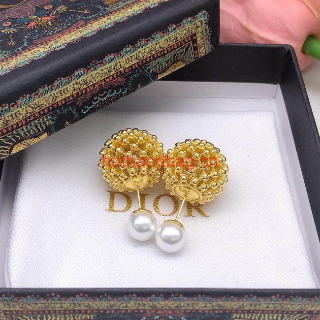 Dior Earrings CE12006