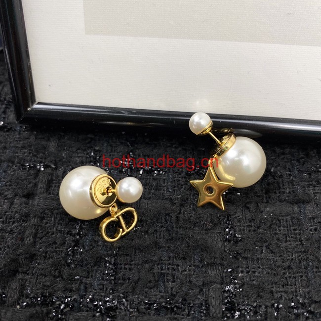 Dior Earrings CE12064