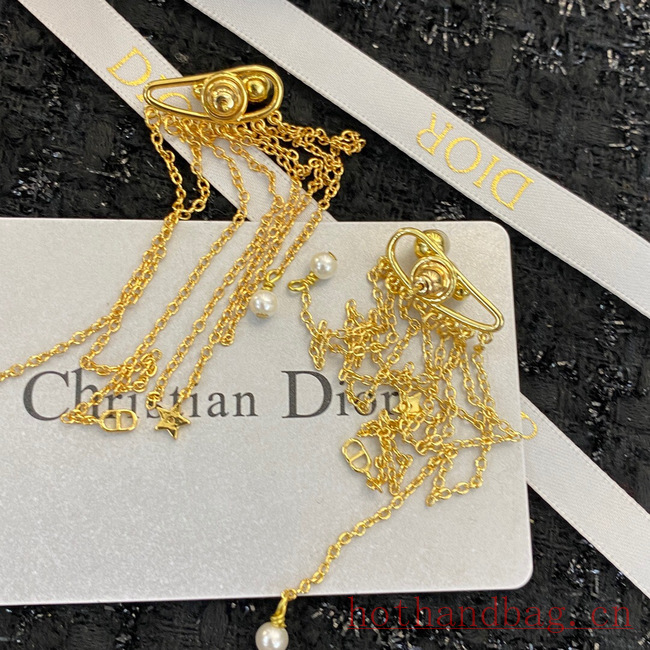 Dior Earrings CE12122