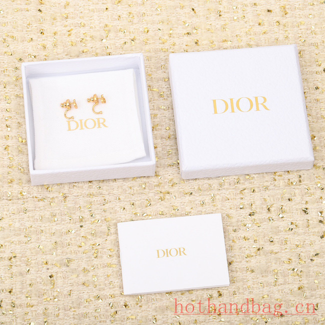 Dior Earrings CE12186