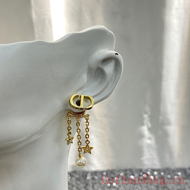 Dior Earrings CE12217