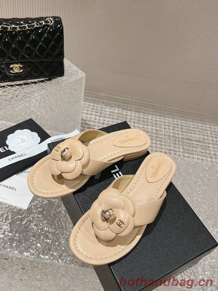 Chanel Shoes CHS00774 Heel 1CM