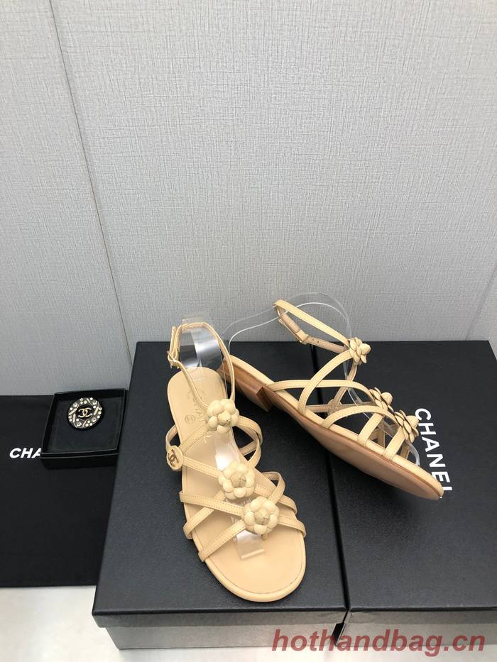 Chanel Shoes CHS00815