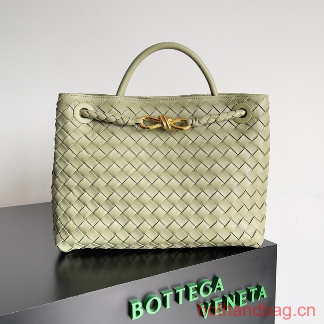 Bottega Veneta Medium Andiamo 743572 light green