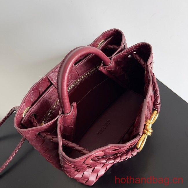 Bottega Veneta Small Andiamo 743568 Barolo