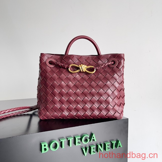 Bottega Veneta Small Andiamo 743568 Barolo