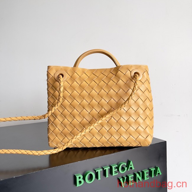 Bottega Veneta Small Andiamo 743568 yellow