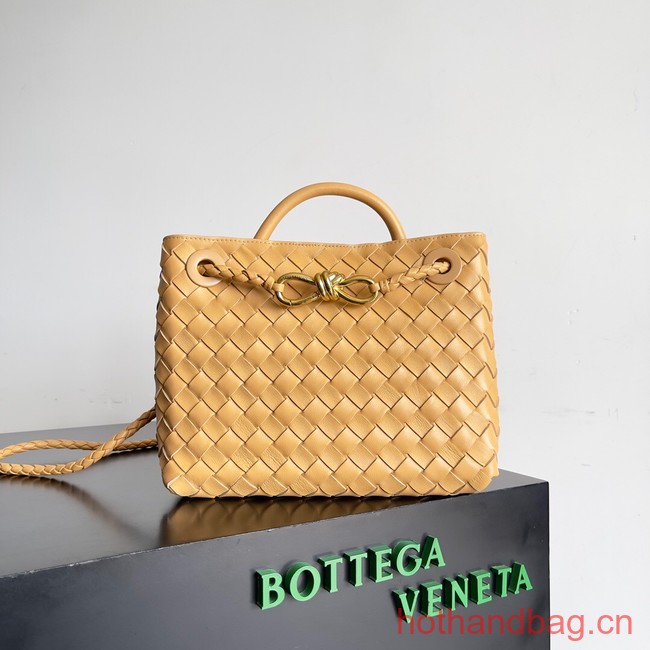 Bottega Veneta Small Andiamo 743568 yellow