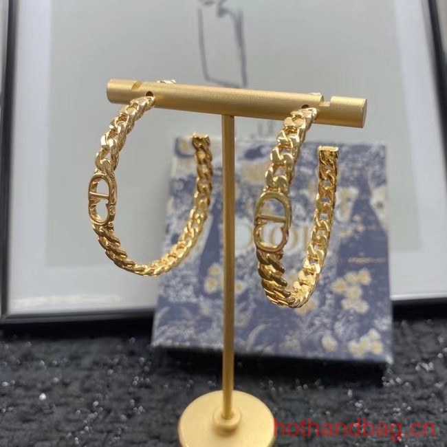 Dior Earrings CE12276