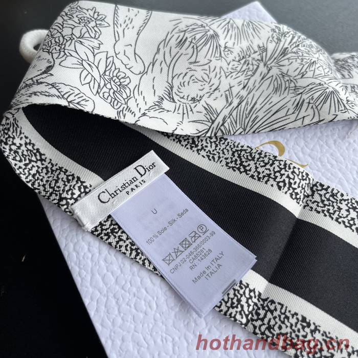 Dior Scarf DIC00152