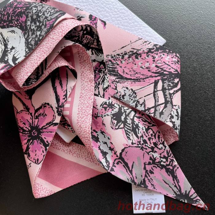 Dior Scarf DIC00153