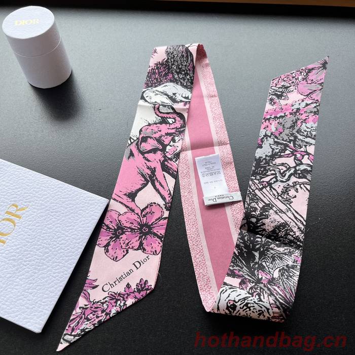 Dior Scarf DIC00153