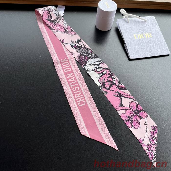 Dior Scarf DIC00153