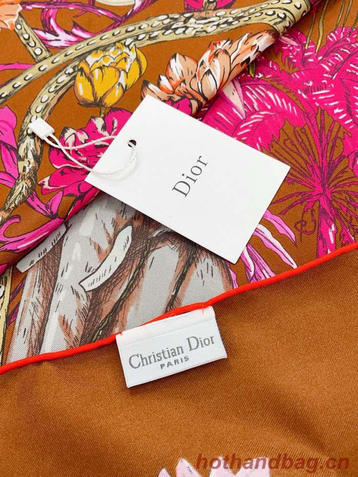 Dior Scarf DIC00173