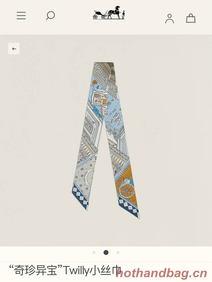 Hermes Scarf HEC00565