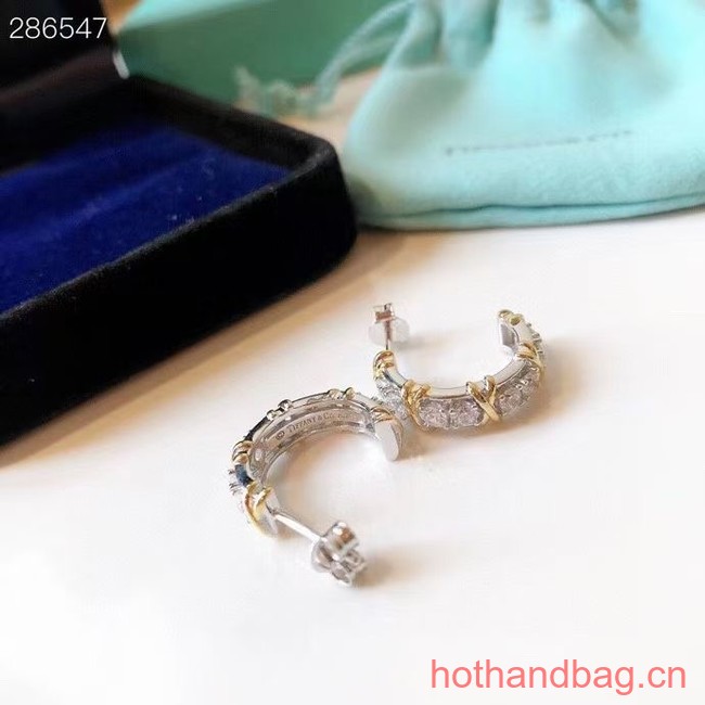 TIFFANY Earrings CE12294